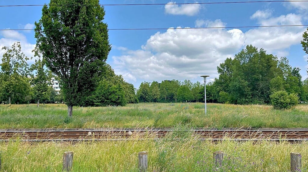 Auf der großzügigen Brachfläche hinter den Straßenbahnschienen soll zukünftig ein Bolzplatz entstehen.