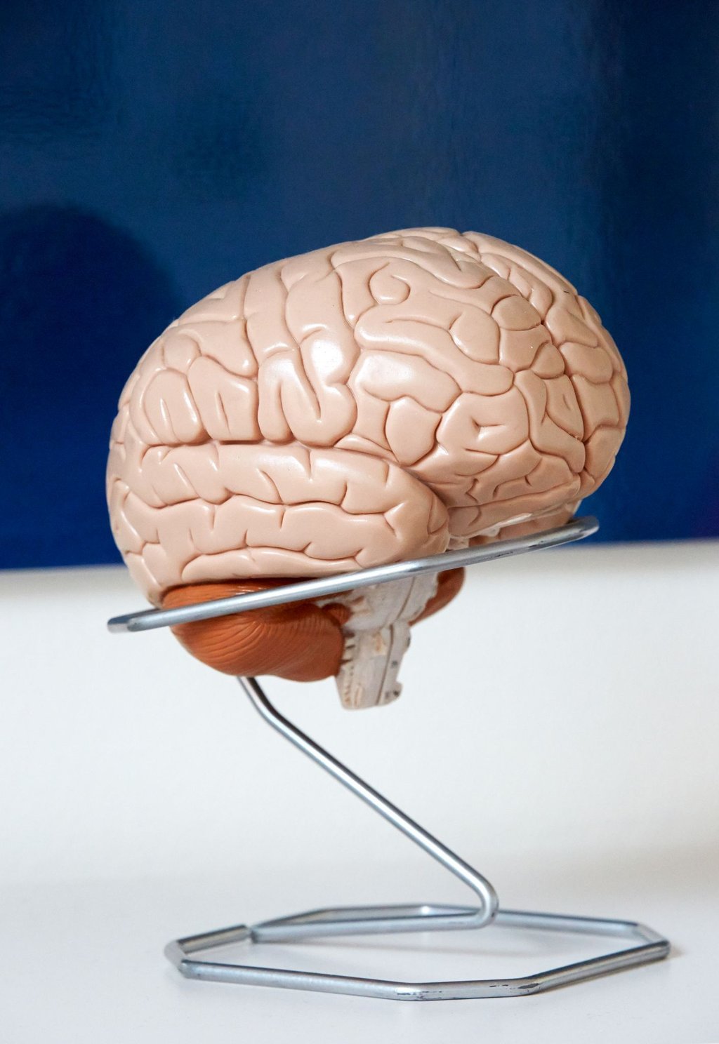 Neuroplastizität beim Windelwechsel: Die Geburt eines Kindes verändert nicht nur das Leben, sondern auch das Gehirn von Vätern.