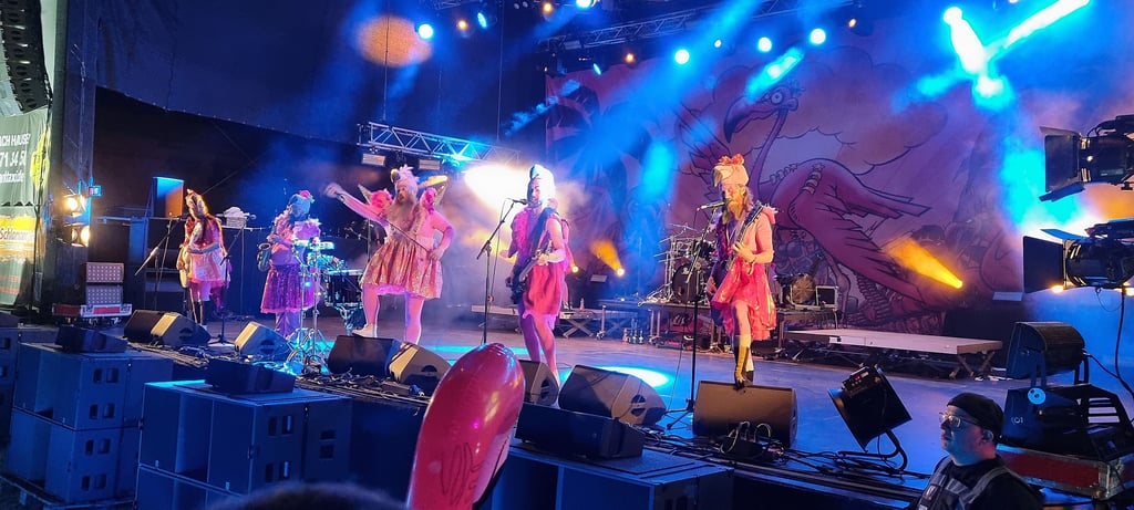 Metal Frenzy 2025: Die Band mit den wohl schrägsten Bühnenoutfits: Trollfest aus Norwegen kam im Flamingo-Look.