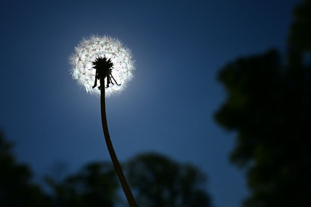 Ruhiges Sommerwetter setzt sich auch in den nächsten Tagen in Berlin und Brandenburg fort. (Symbolbild)