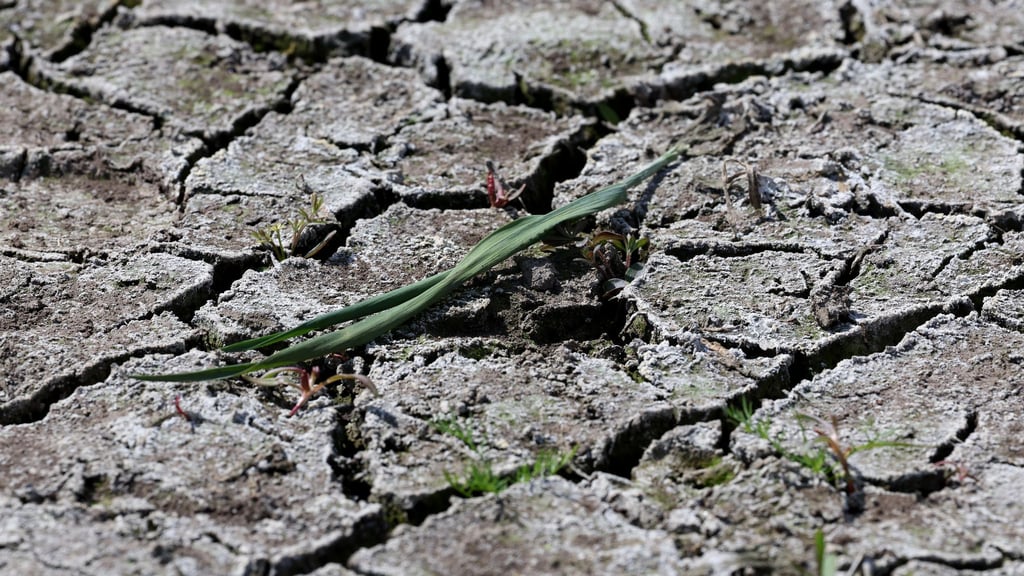 Sachsen hat sinkende Grundwasserstände registriert. (Symbolbild)
