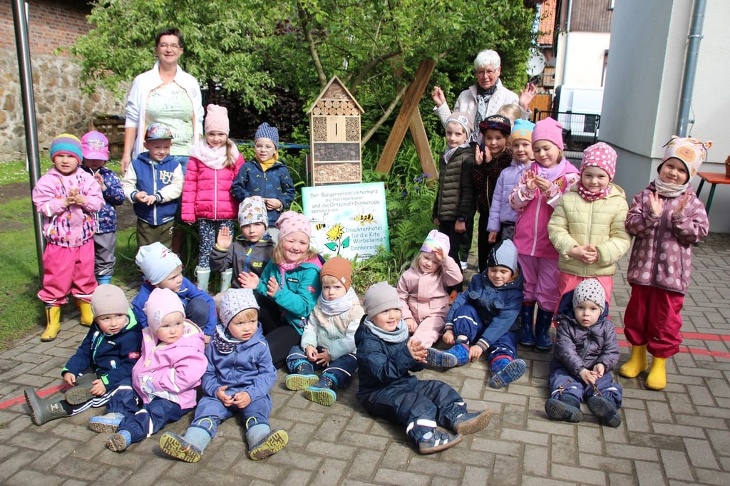 Auch in der Kita "Wirbelwind" in Dankerode können die Kinder jetzt die Bewohner des neuen Insektenhotels beobachten.
