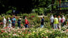 Gut besucht war der Rosengarten in Sangerhausen zum Berg- und Rosenfest am vergangenen Wochenende. Dauerkartenbesitzer sind aber mit dem Eintrittspreis nicht einverstanden, der von ihnen verlangt wurde.  