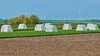 Insgesamt 112 Zelte stehen am Stadtrand von Könnern für einen wichtigen Versuch auf dem einem Feld.