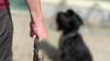 Ein Mann aus Calbe ist wegen Verstoß gegen das Tierschutzgesetz im Schönebecker Amtsgericht angeklagt. Er soll mehrfach auf seinen Hund eingeschlagen haben.