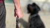 Ein Mann aus Calbe ist wegen Verstoß gegen das Tierschutzgesetz im Schönebecker Amtsgericht angeklagt. Er soll mehrfach auf seinen Hund eingeschlagen haben.