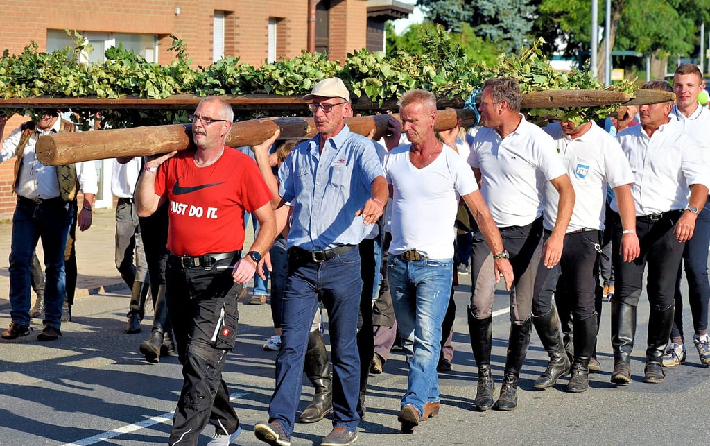 Ein Alleinstellungsmerkmal des Pömmelter Reiterfestes: Der Galgen wird nach dem Wettkampf von den Akteuren durchs Dorf getragen.