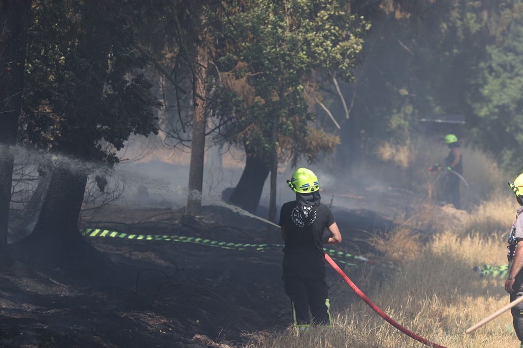 In Thüringen wurden im vergangenen Jahr 34 Waldbrände auf 35 Hektar erfasst. (Archivbild)