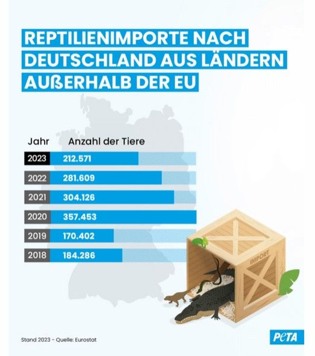 Schätzungen zufolge sind mindestens ein Drittel der Reptilien „Wildfänge“, die direkt aus ihrem natürlichen Lebensraum entrissen werden, bevor sie in deutschen Wohnzimmern landen.