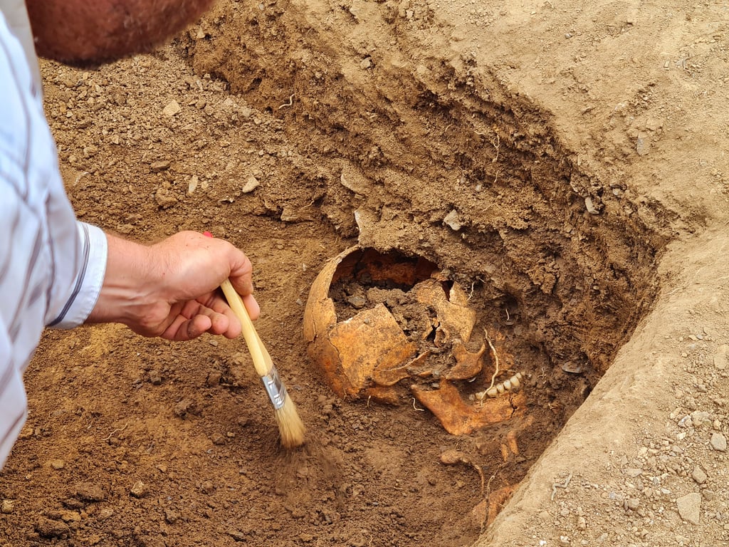 Bei den Grabungen im Jahr 2023 am Kloster Himmelpforte bei Wernigerode wurden mehrere Skelette freigelegt.
