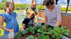Pflanzaktion im Jugendclub Elster. Gärtnerin Katja Böttcher (r.) zeigt Melissa und Arno (v.l.), wie die Erdbeeren eingepflanzt werden sollen, um viele leckere Früchte zum Naschen zu tragen. 