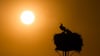 Nach Angaben des Umweltministeriums ist die Temperatur in Niedersachsen um 1,9 Grad seit 1881 angestiegen. Das zwingt die Kommunen zu mehr Hitzeplanung. (Symbolbild)