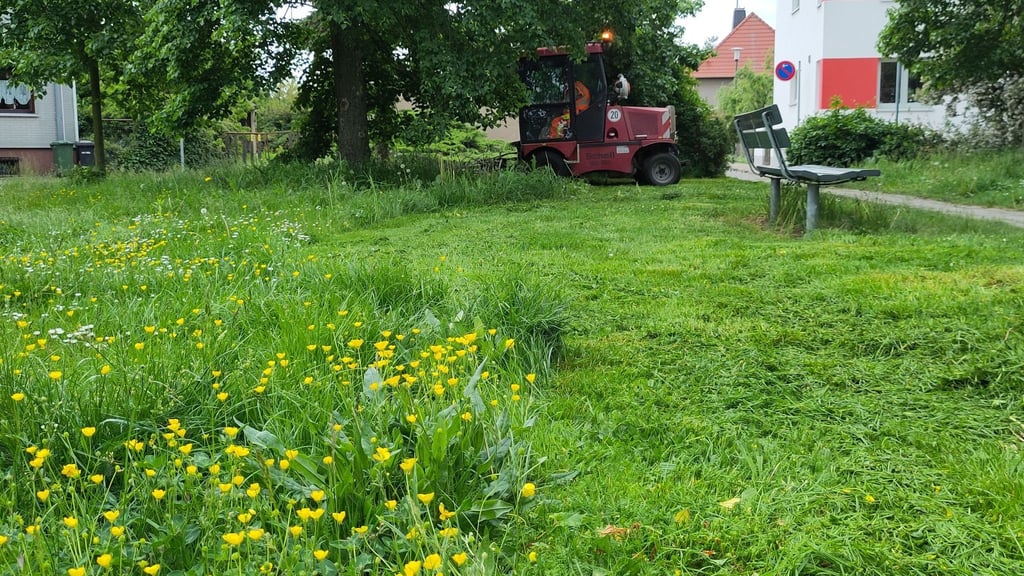 Die Stadtverwaltung antwortet den Kritikern: Die Grünflächen in Halberstadt werden ausreichend und regelmäßig gemäht.