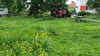Die Stadtverwaltung antwortet den Kritikern: Die Grünflächen in Halberstadt werden ausreichend und regelmäßig gemäht. 