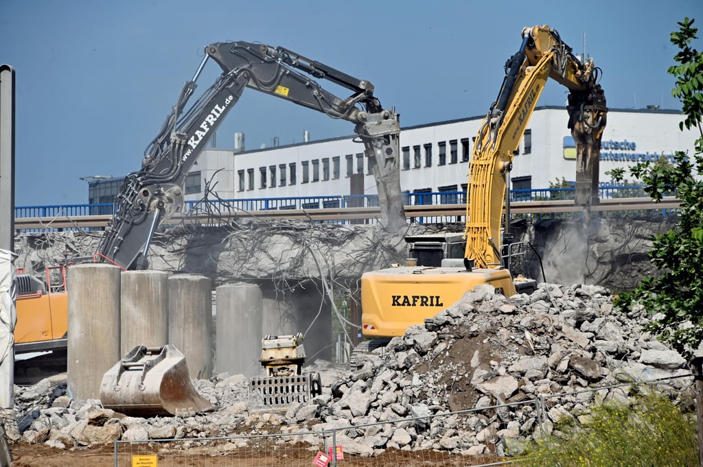 Die Abrissbagger arbeiten sich Stück für Stück vorwärts. Doch unter der Ringbrücke am Damaschkeplatz lebten noch Tauben. Tierschützer versuchten sie zu retten.