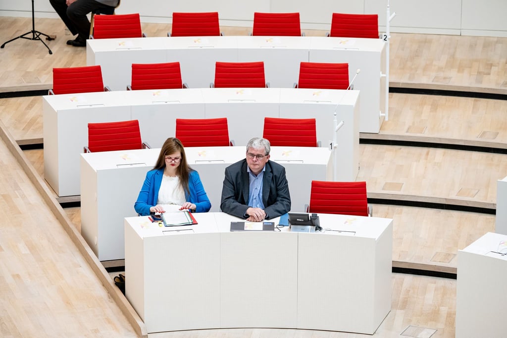 Bei der Feierstunde des Brandenburger Landtags ist die BSW-Fraktion nur mit zwei Abgeordneten vertreten.