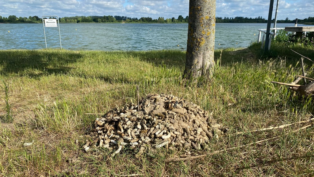 Herr über den Vogelkot am Neustädter See zu werden, ist gar nicht so leicht: Diesen haufen haben die Mitarbeiter an zwei Tagen aufgesammelt.