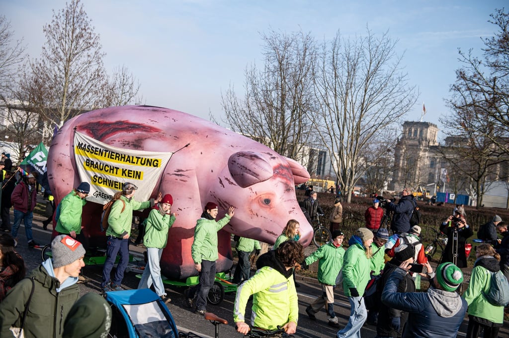 Das Bündnis „Wir haben es satt“ demonstriert seit Jahren bei der Agrarmesse Grüne Woche für eine Agrarwende. Jetzt machen sie eine Aktion zum Austausch zwischen Umweltaktivisten und Landwirten. (Archivbild)