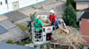 Die Feuerwehr rückt an, um Jungstörche zu beringen
