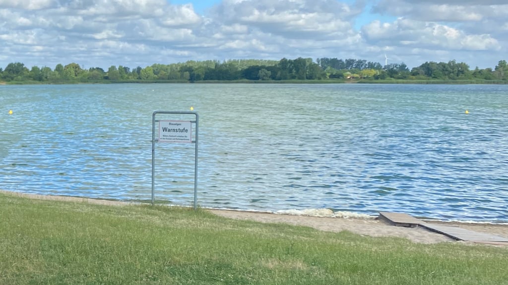 Am Neustädter See warnt die Stadt aktuell vor Blaualgen.