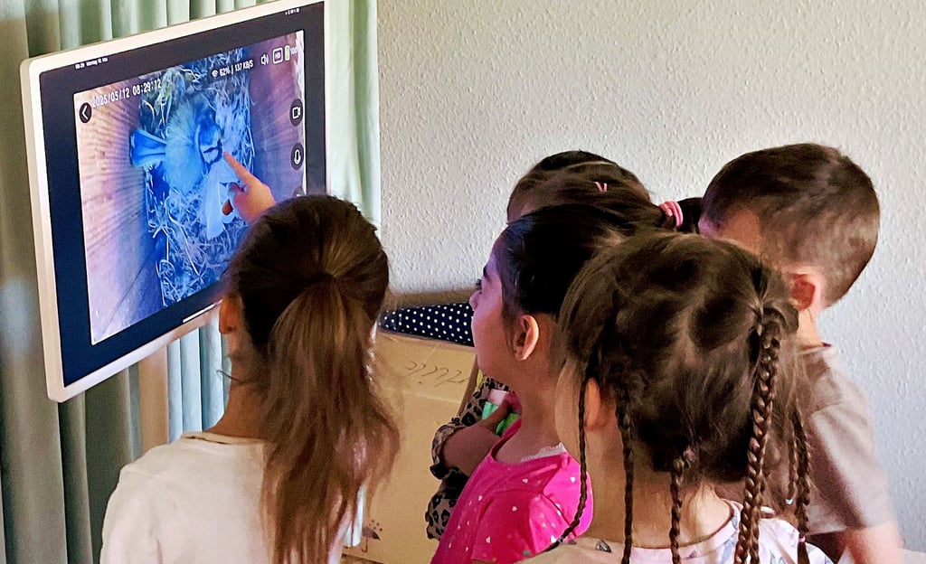 Interessiert verfolgen die Kinder auf dem Tablet, wie die Meise in ihrem Nistkasten brütet.