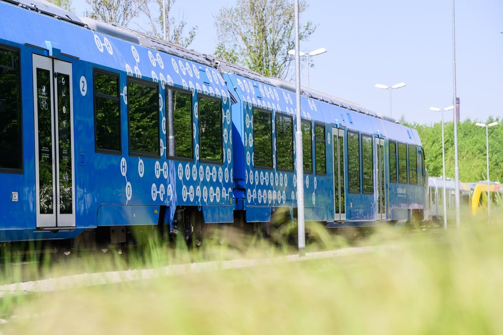 Nach dem Vorfall in der Regionalbahn sucht die Bundespolizei einen jungen Mann - den mutmaßlichen Täter (Symbolbild)