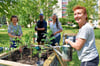 Kathrin von Ow, Tobias Hensen, Petra Mattheis und Kerstin Löffler (v.l.) bestücken die fünf neu aufgestellten Hochbeete zwischen den Häusern der Wohnungsgenossenschaft 1. Mai in Zeitz-Ost.