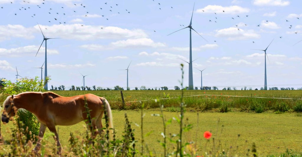 Im Windpark Trebbichau sollen zehn alte Windräder durch bis zu elf neue ersetzt werden – eigentlich.