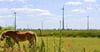 Im Windpark Trebbichau sollen zehn alte Windräder durch bis zu elf neue ersetzt werden – eigentlich.