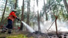 Zum Sommeranfang mit den erwarteten hohen Temperaturen steigt die Waldbrandgefahr in Niedersachsen. (Symbolbild)