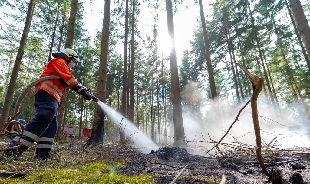 Zum Sommeranfang mit den erwarteten hohen Temperaturen steigt die Waldbrandgefahr in Niedersachsen. (Symbolbild)