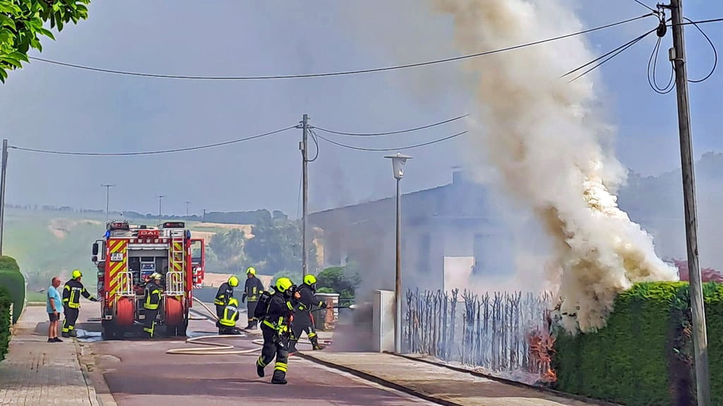 Heckenbrand in Hötensleben.
