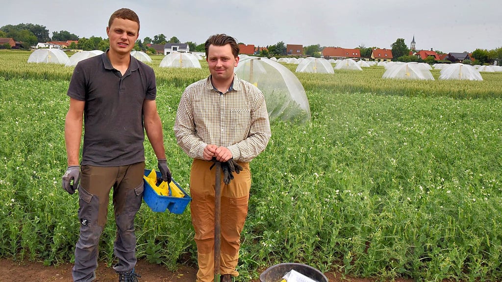 Die Landwirtschaftsstudenten Fin Rudolphi und Michael Schneider haben im Rahmen ihrer Bachelorarbeit regelmäßig die Untersuchungsfläche im Auge.