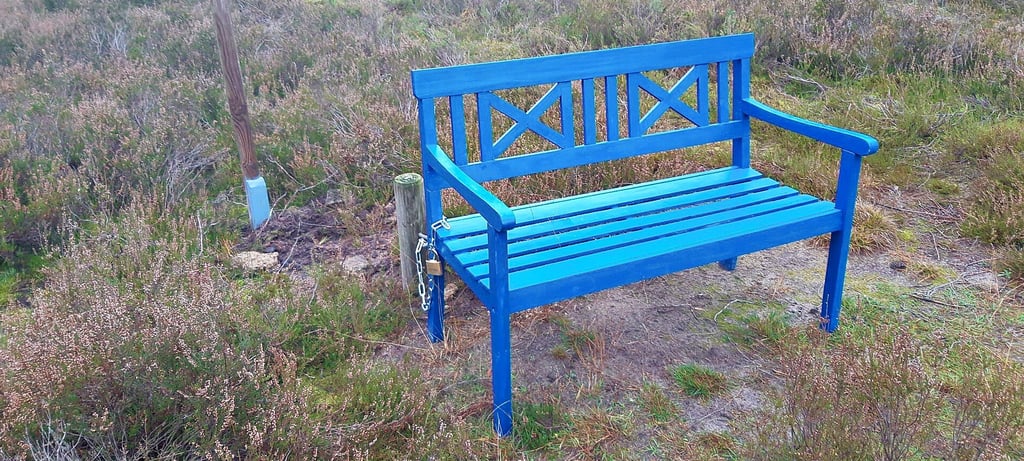 Diese blaue Bank wurde von der Wirlspitze nach Ziemendorf gebracht. Warum, darüber klärt die Stiftung SUNK auf.