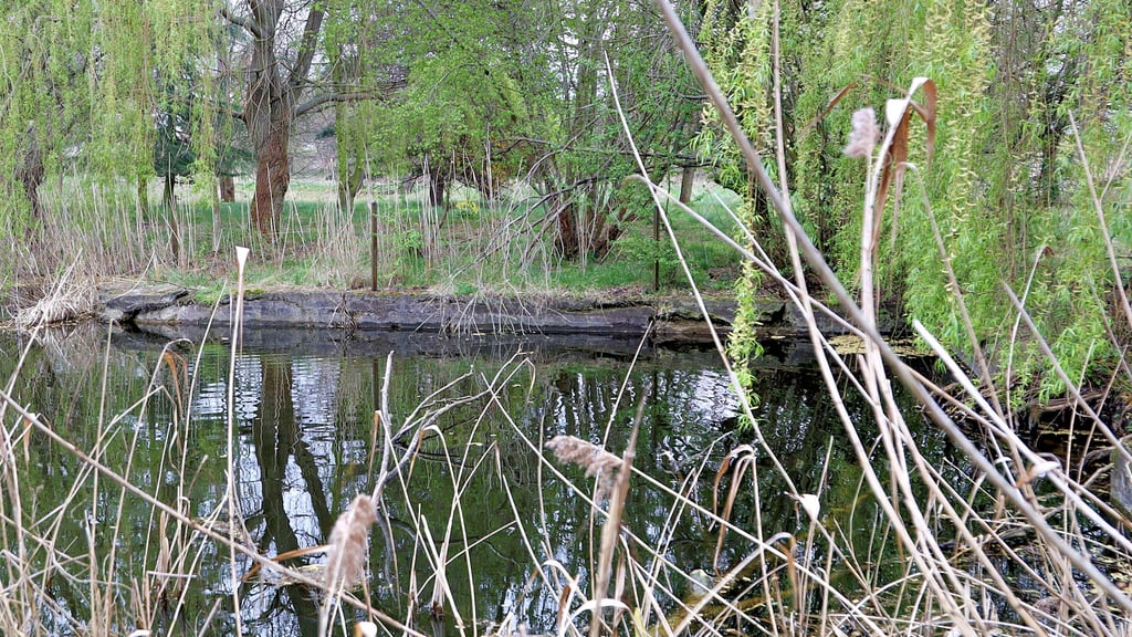 Die Betoneinfassung an der Böttche in Barleben verweisen auf die einstige Nutzung als Badeanstalt.