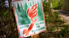 Höchste Alarmstufe im Wald: In Teilen Deutschlands gilt Gefahrenstufe 5 und schon ein Funke kann zur Katastrophe führen.