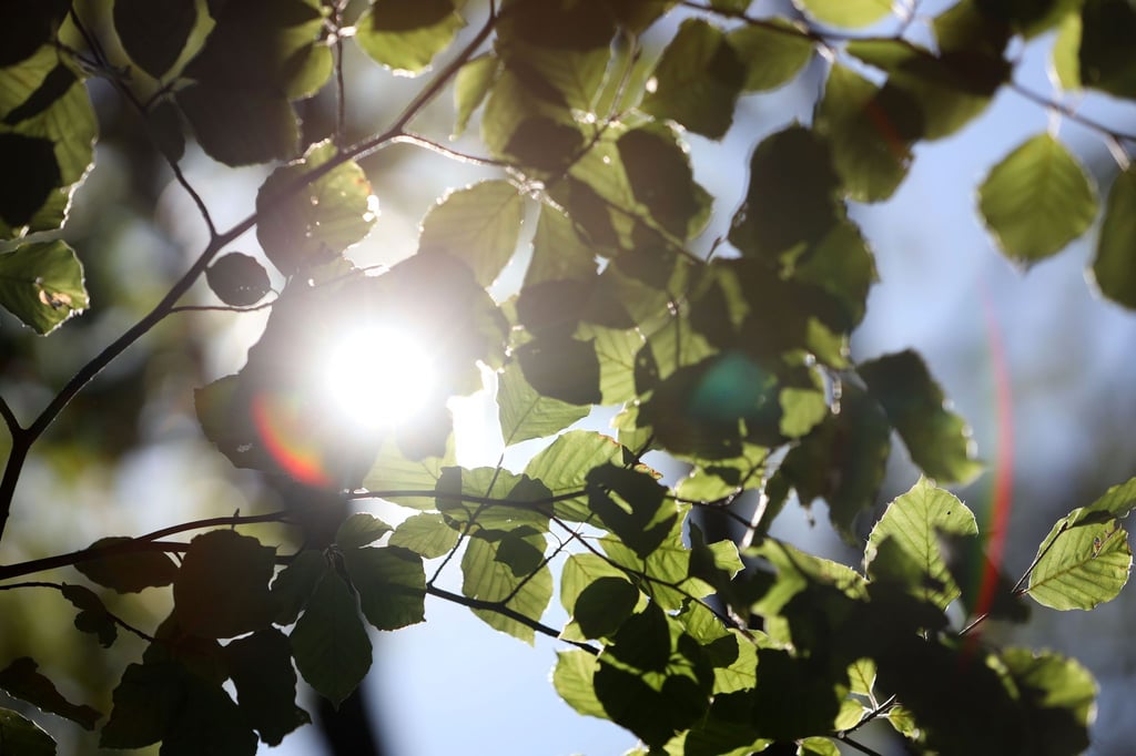 In Sachsen-Anhalt wird das Wochenende warm und sonnig. (Archivbild)