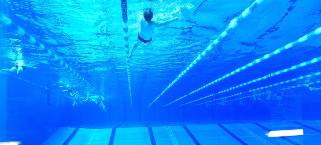 Aktuell ist das Becken der Elbe-Schwimmhalle die Trainingsstätte der Magdeburger Leistungsschwimmer.