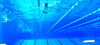 Aktuell ist das Becken der Elbe-Schwimmhalle die Trainingsstätte der Magdeburger Leistungsschwimmer.