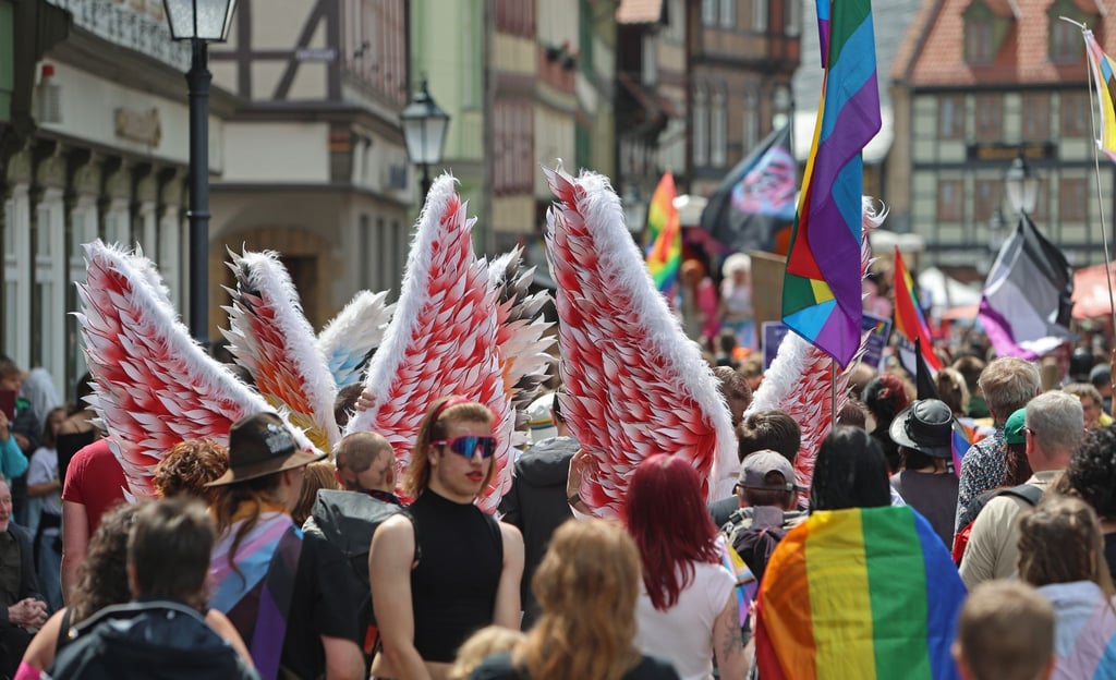 Rechtsextreme Übergriffe überschatten die CSD-Saison in Sachsen-Anhalt. (Archivbild)