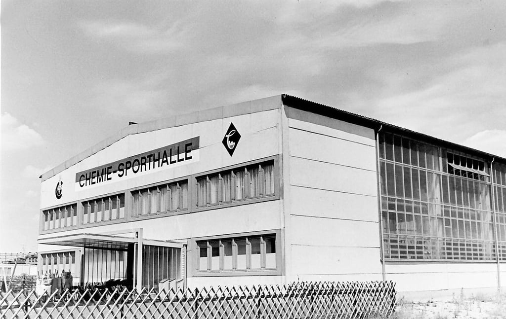 So sieht die Coswiger Sporthalle vor fünf Jahrzehnten aus.