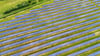 Das Unternehmen Kronos Solar möchte in Satuelle einen Solarpark errichten.