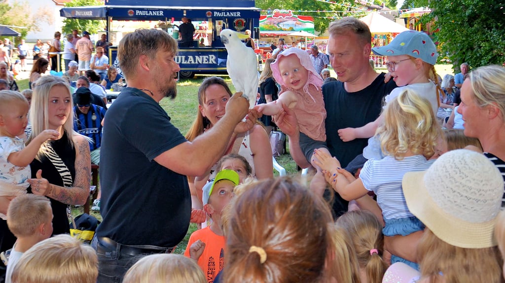 Große Aufmerksamkeit findet Janko Behring und seine gefiederten, behaarten oder geschuppten Stars vom Hof der Klugen Tiere Atzendorf zu allen möglichen Anlässen wie hier beim Heimatfest in Rathmannsdorf.