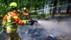 Mehr als 500 Einsatzkräfte übten die Waldbrandbekämpfung unter realen Bedingungen und bei hochsommerlichen Temperaturen.