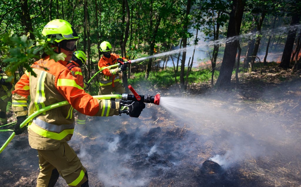 Mehr als 500 Einsatzkräfte übten die Waldbrandbekämpfung unter realen Bedingungen und bei hochsommerlichen Temperaturen.