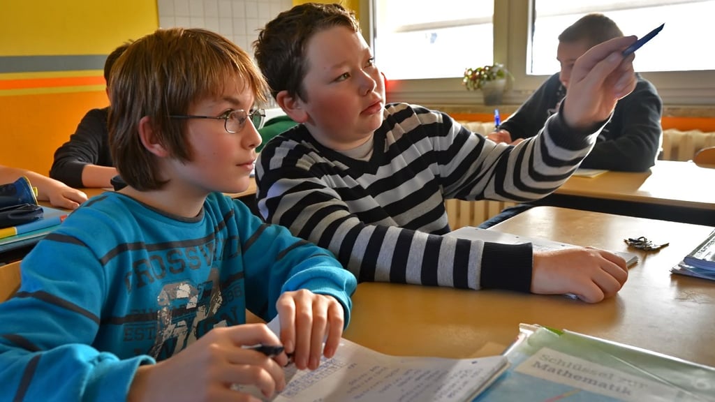 Lernen in der Gemeinschaft, wird an der Ascherslebener Albert-Schweitzer-Schule (hier ein Foto aus dem Jahr 2013) seit Jahrzehnten großgeschrieben.