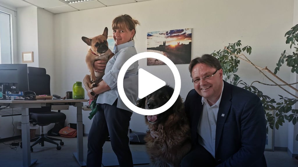 Die französische Bulldogge Bella von Silvia Läseke und der Leonberger Theo von Magdeburgs Ordnungs- und Personalbeigeordnetem Ronni Krug sind zwei von bisher 15 Bürohunden in den Ämtern der Stadt.