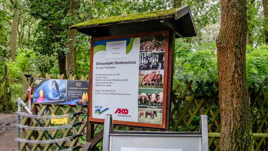 Das Nabu-Zentrum im Stadtwald Wittenberg ist ein beliebtes Ausflugsziel.