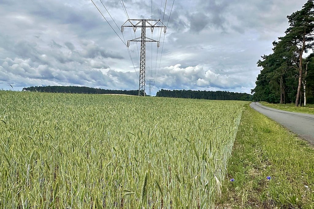 Auf dieser Ackerfläche bei Parchau in Richtung Blumenthaler Ende soll der Solarpark „Heidenden“ entstehen.