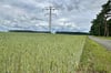 Auf dieser Ackerfläche bei Parchau in Richtung Blumenthaler Ende soll der Solarpark „Heidenden“ entstehen. 